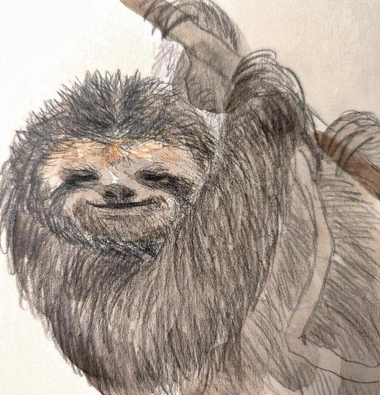 色鉛筆48色-うさこ様-12セット