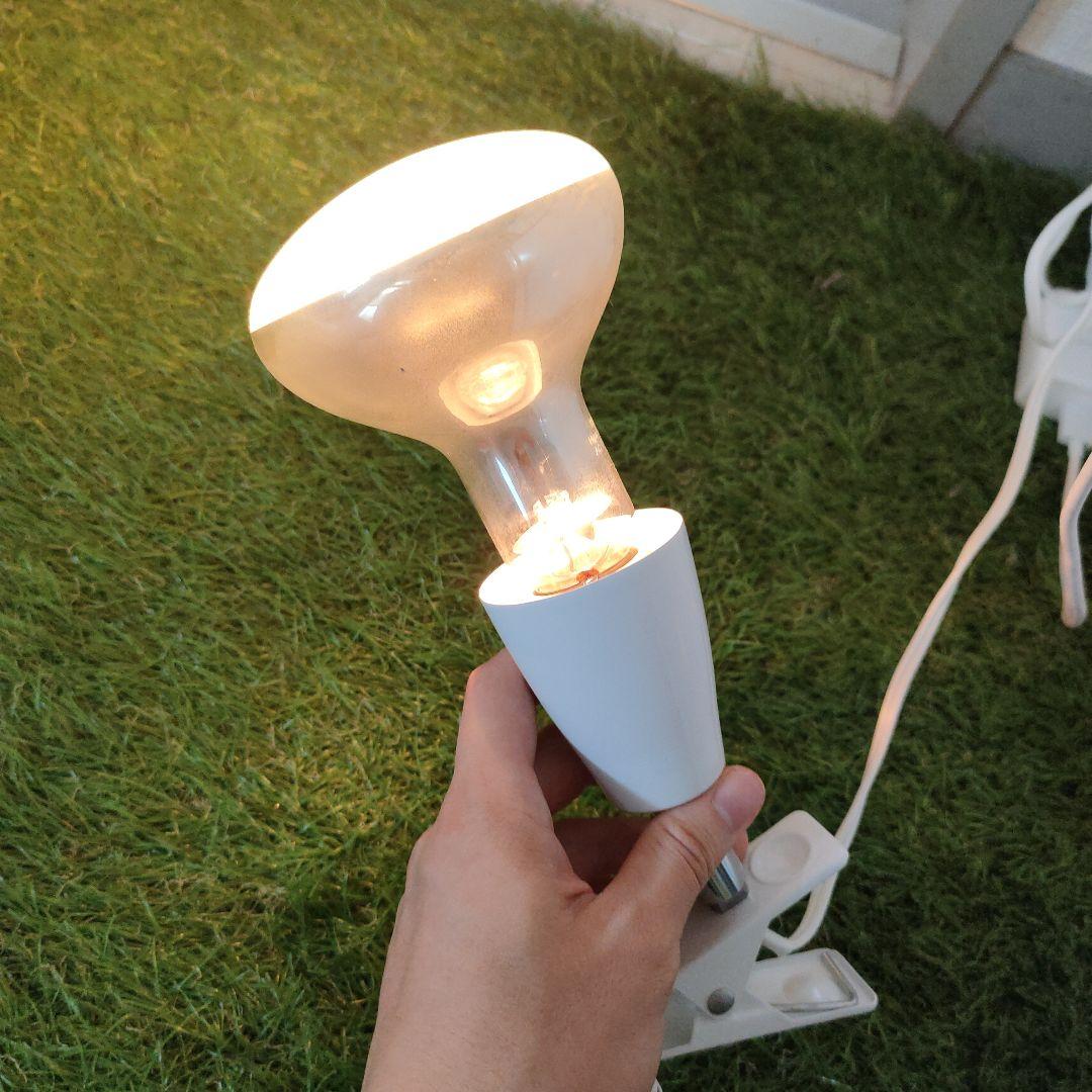 爬虫類飼育設備3点セット(飼育箱+LEDライト+保温球)