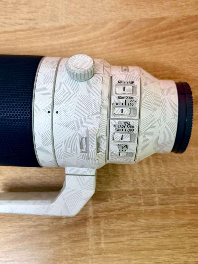 SONY FE 200-600mm F5.6-6.3G OSS 望遠ズームレンズ
