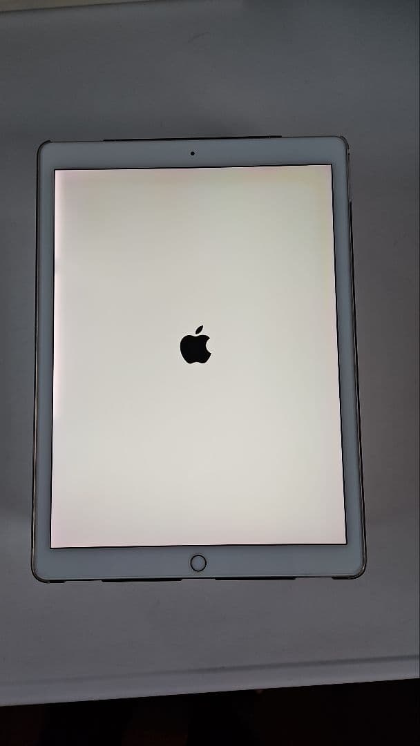 iPad Pro 第二世代 セルラーモデル 12.9 ストレージ512GB 美品