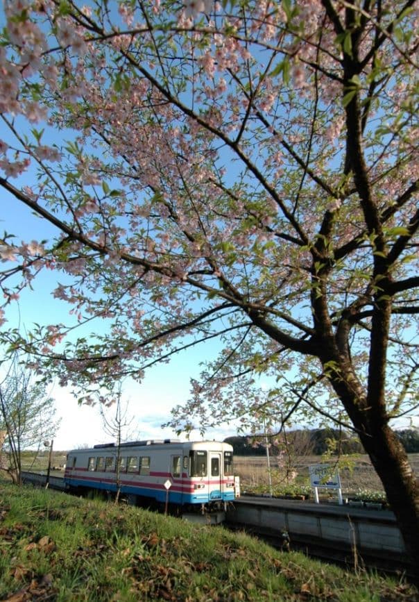 Nrt様　NIKON　D70⚡️1本で広角から望遠まで⚡️初心者⚡️ニコン⚡️