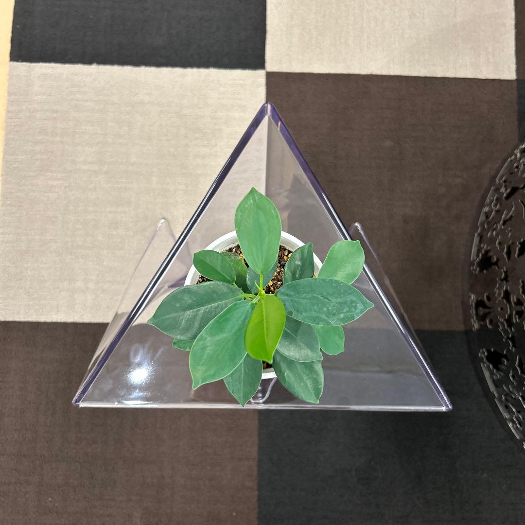 新品☆おしゃれサイドテーブル 花台 ナイトテーブル クリア モダン オブジェ