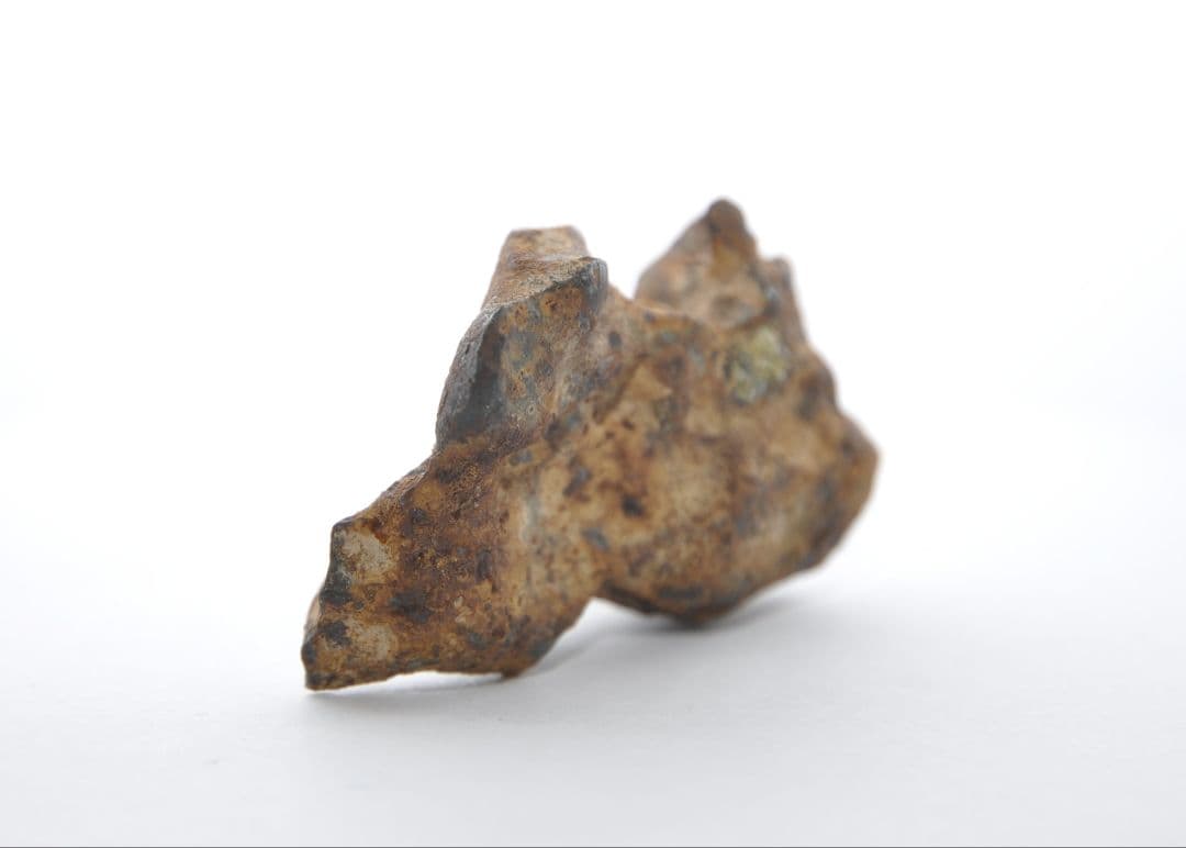 隕石 イミラック パラサイト 36.5g Imilac ⭐