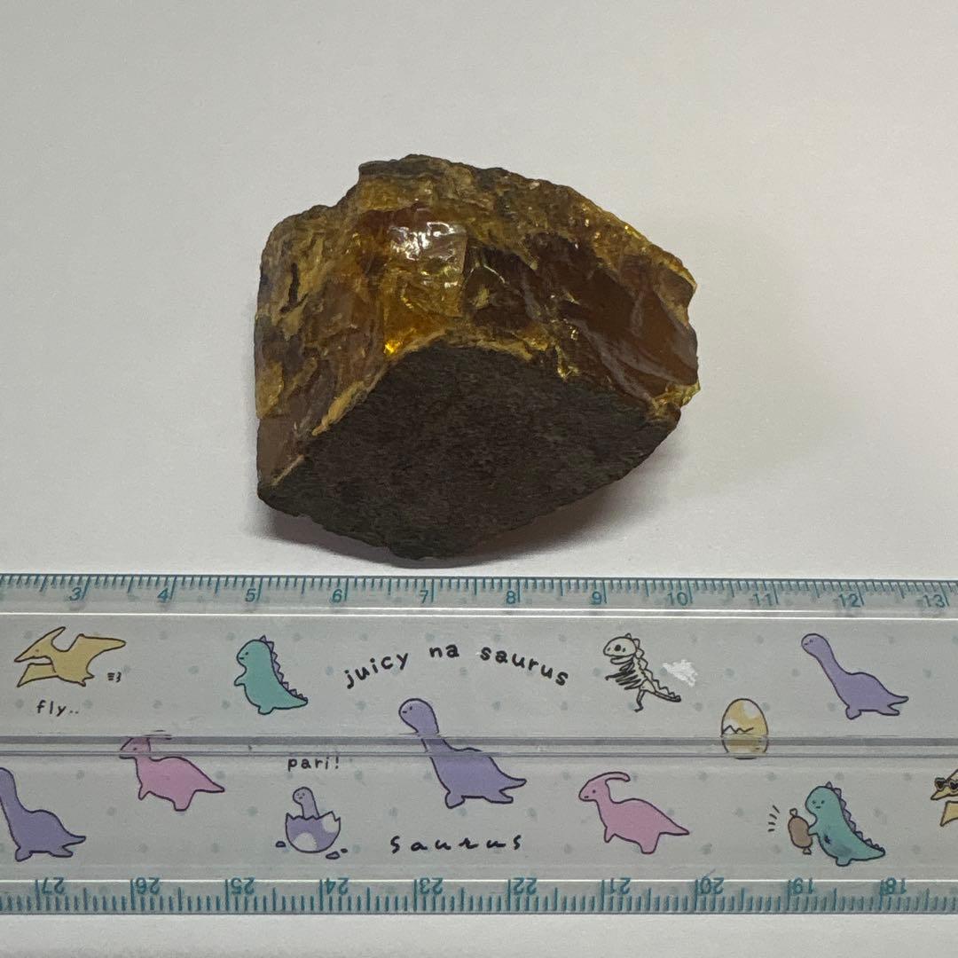 琥珀 アンバー 化石 宝石 原石 岩手県久慈産