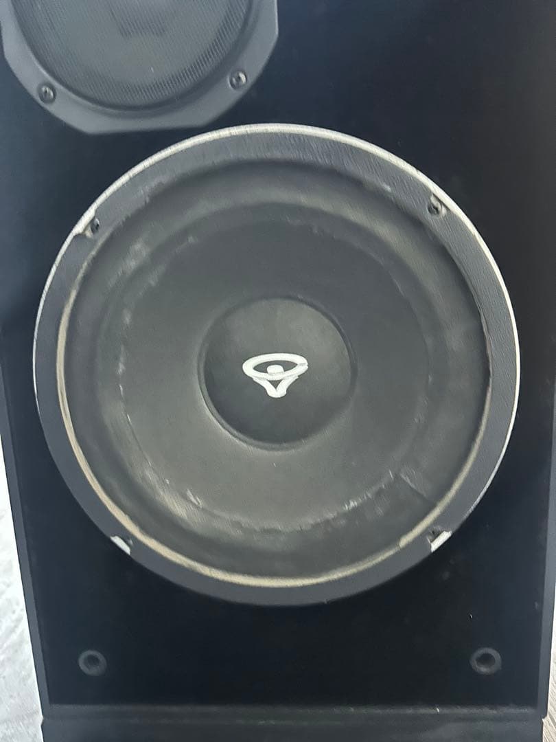 CERWIN-VEGA! 250SE スピーカー