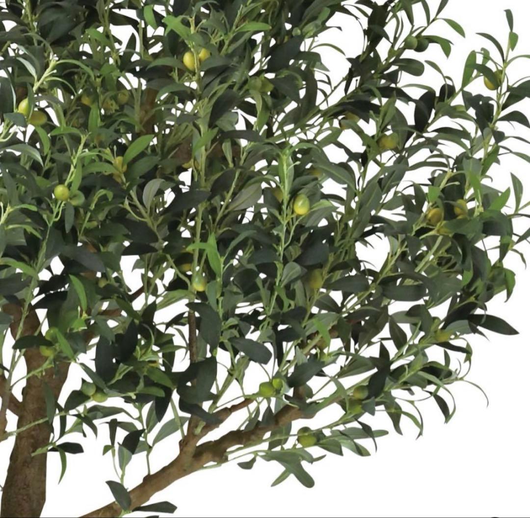 光触媒　人工観葉植物　フェイクグリーン　ブラックオリーブコアッド