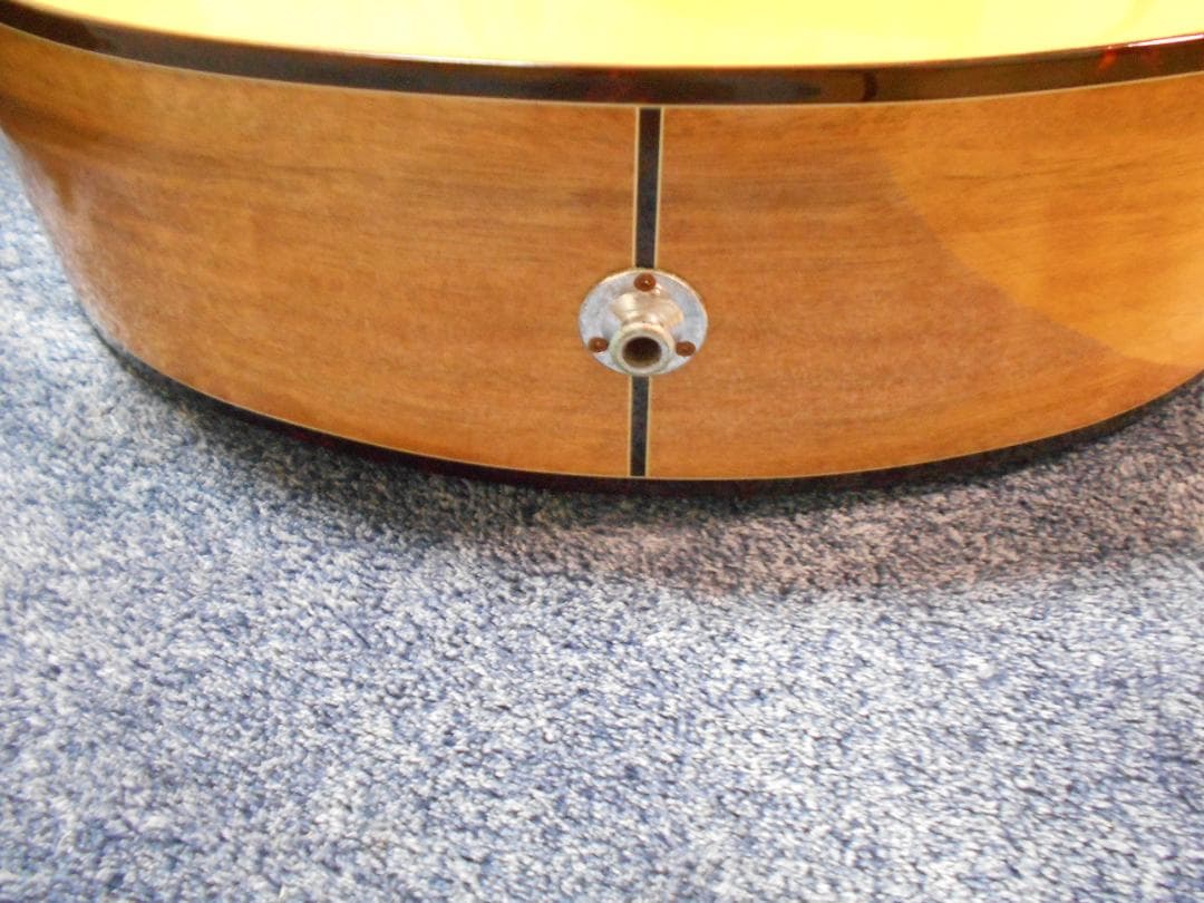 ギター PRS SE A15AL-Alex Lifeson Thinline