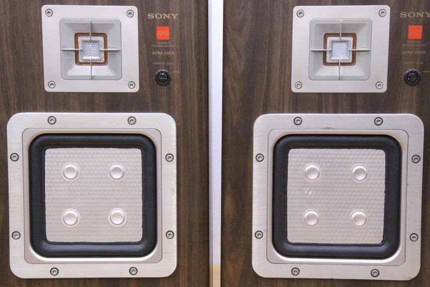 SONY 平面スピーカー APM-22ES