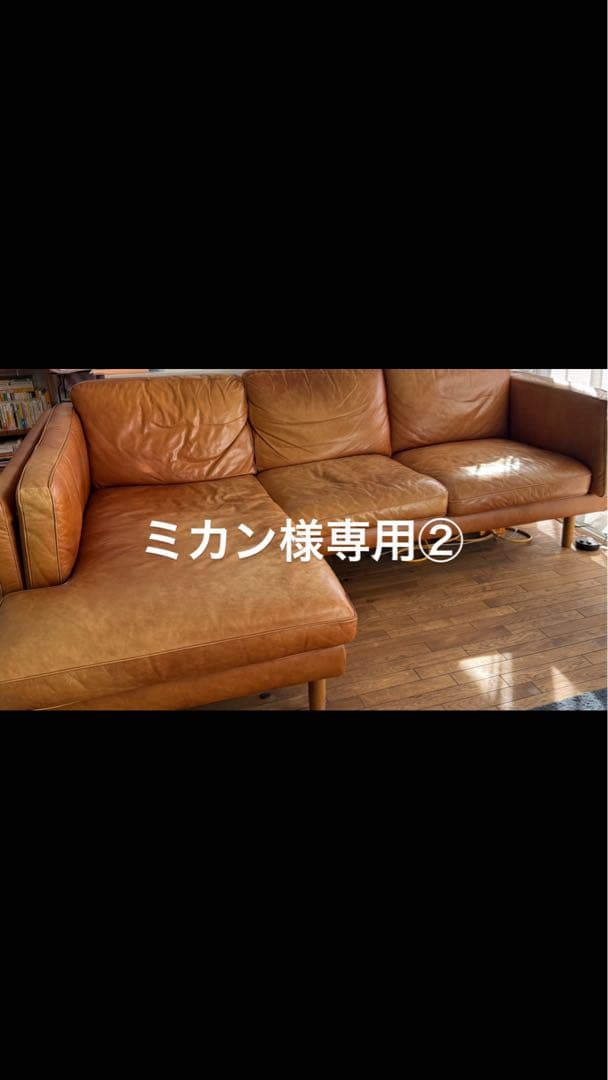 ミカン②