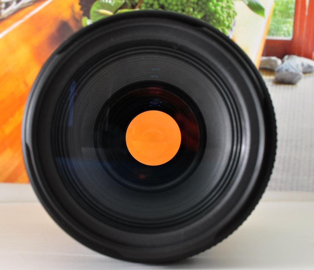 望遠レンズ Canon キヤノン 迫力の90-300mm レンズフード付き！