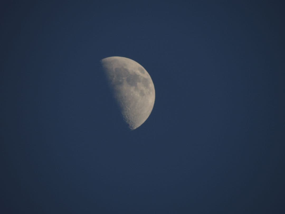 動作確認済　Nikon COOLPIX P510 デジタルカメラ