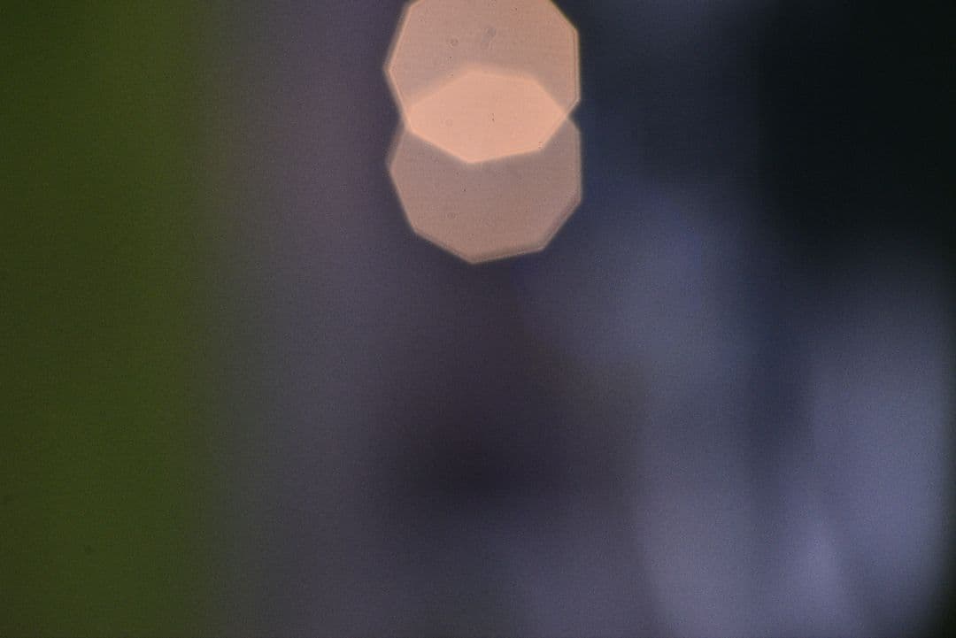 最終価格　Nikon ED AF NIKKOR 300mm F2.8　単焦点