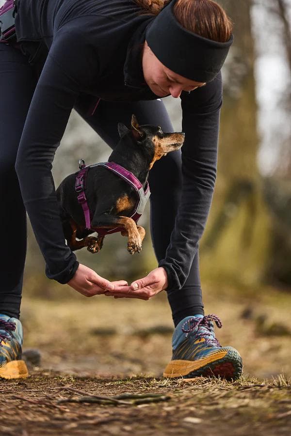 Non-stop dogwear ノンストップドッグウェア ラインハーネス