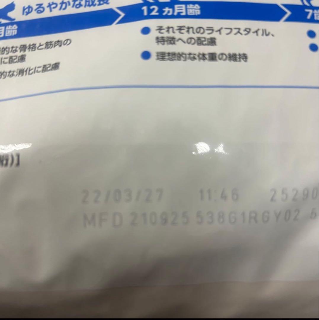 室内で生活する成猫用　インドア 4kg 2袋 合計8kg