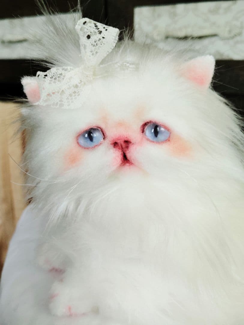 綺麗なオメメの女の子❤エキゾチック子猫ちゃん♡アートドール♡ぬいぐるみ♡