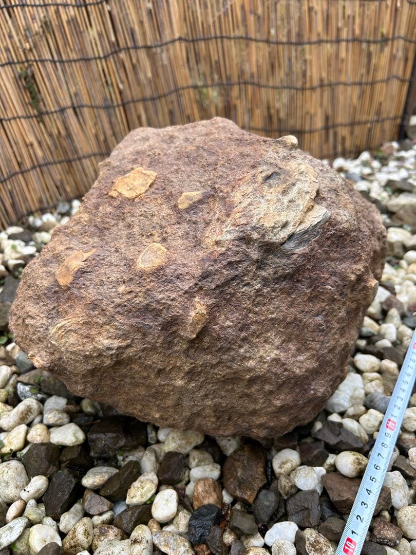 京の銘石『本鞍馬石』