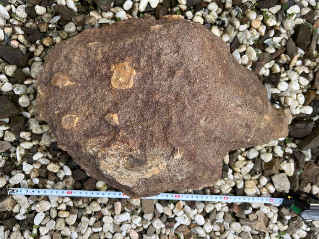 京の銘石『本鞍馬石』