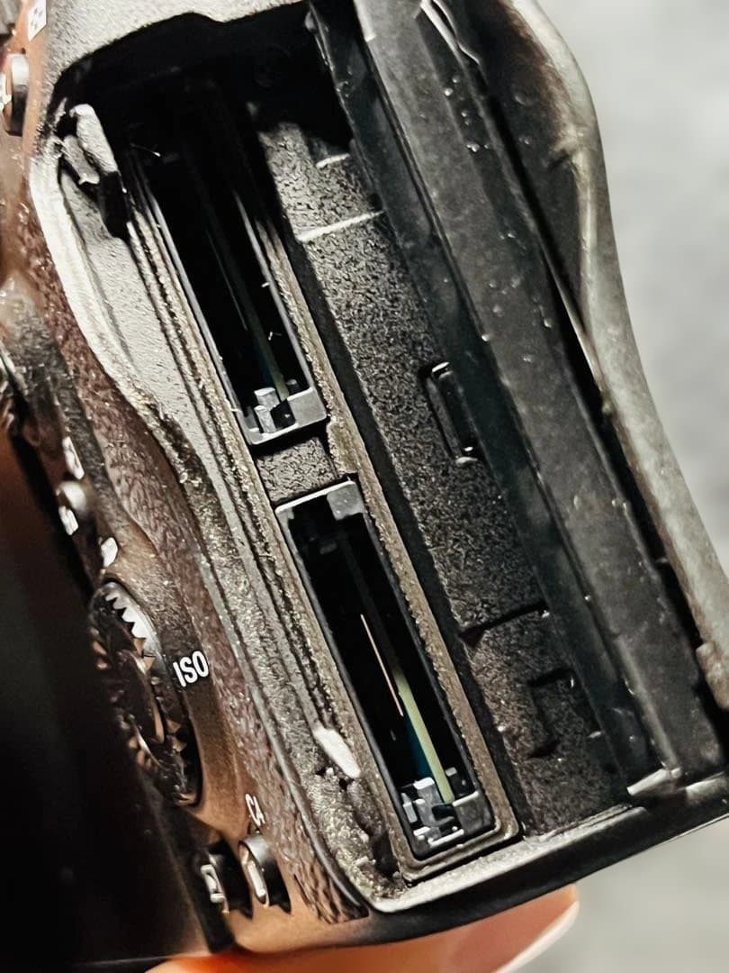 SONY α7Sⅲ ILCE-7SM3 撮影回数637枚 アクセサリー付き