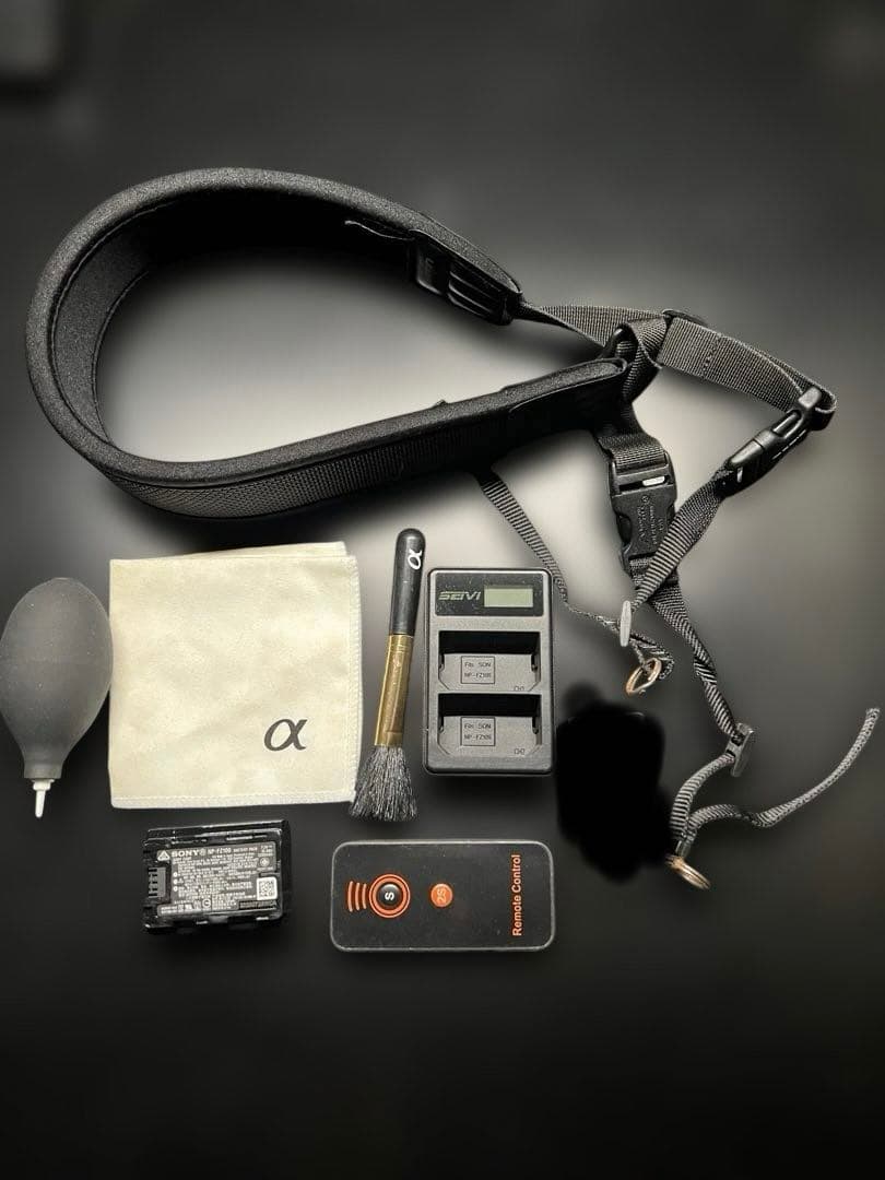 SONY α7Sⅲ ILCE-7SM3 撮影回数637枚 アクセサリー付き