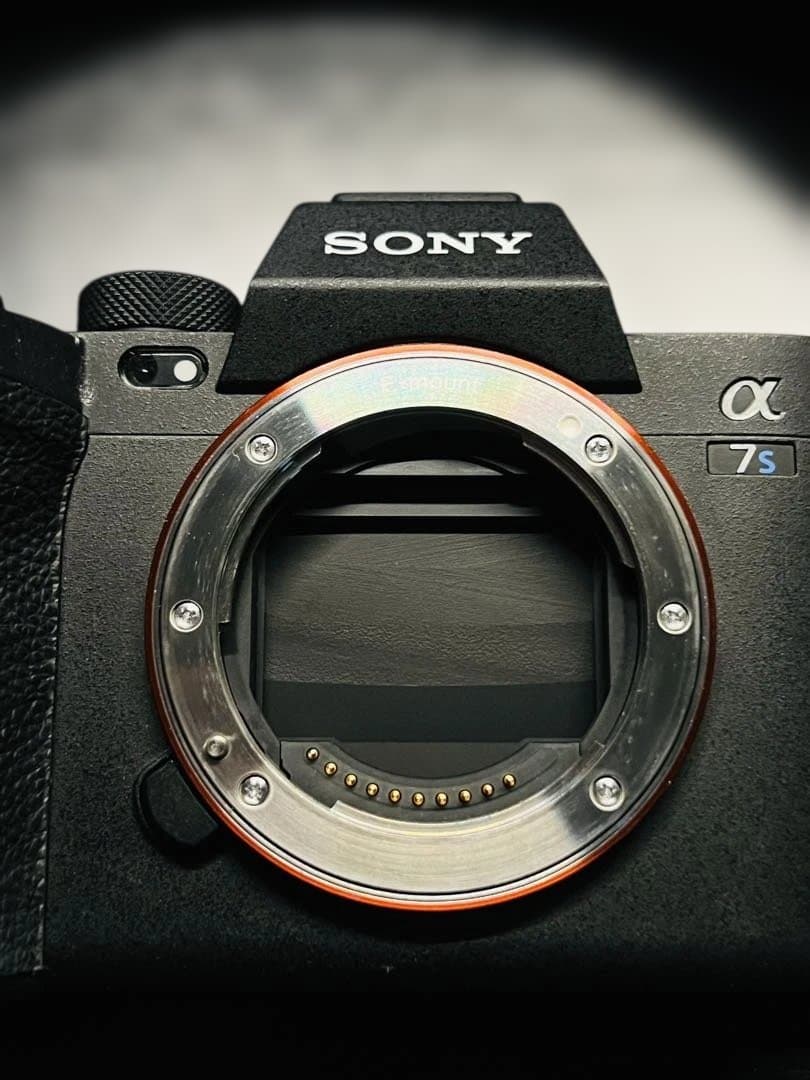 SONY α7Sⅲ ILCE-7SM3 撮影回数637枚 アクセサリー付き