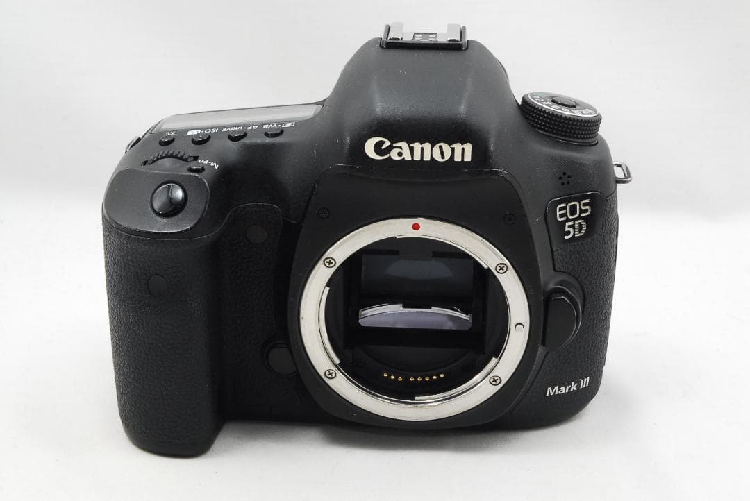 キャノン EOS 5D Mark Ⅲ &バッテリーグリップ BG-E11 696