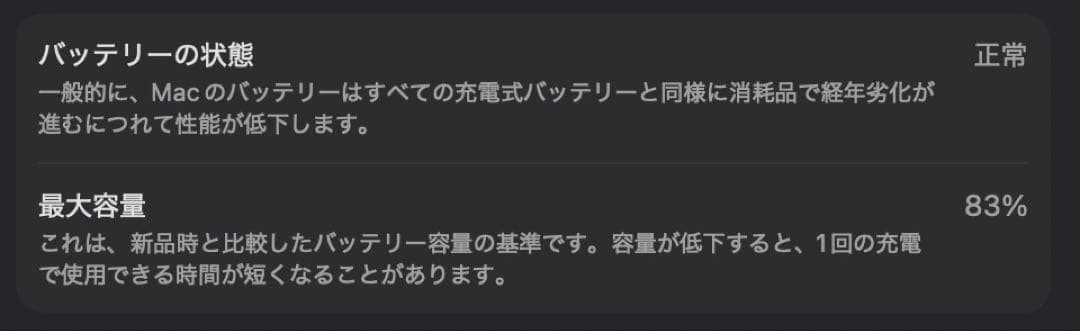 Apple MacBook Air 13インチM1 16GB 1TB