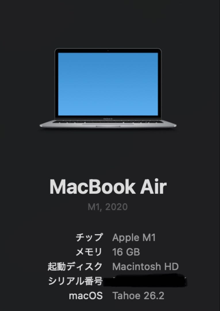 Apple MacBook Air 13インチM1 16GB 1TB