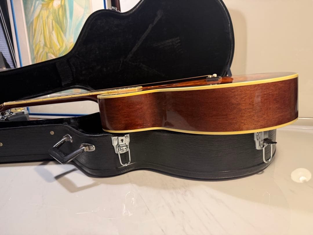 Ibanez アコースティックギター ハードケース付