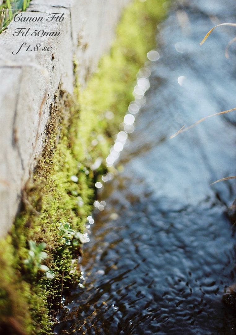 ★完動＊美品＊整備済＊初期保証★canon ftb★作例多数