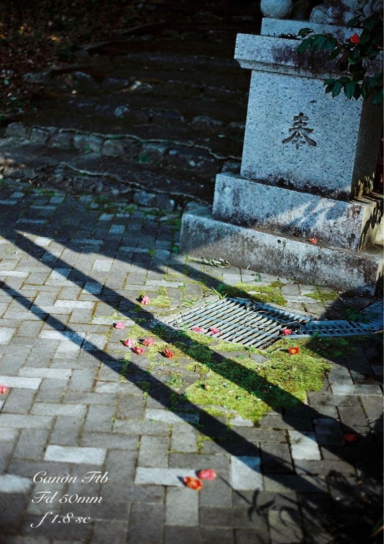 ★完動＊美品＊整備済＊初期保証★canon ftb★作例多数