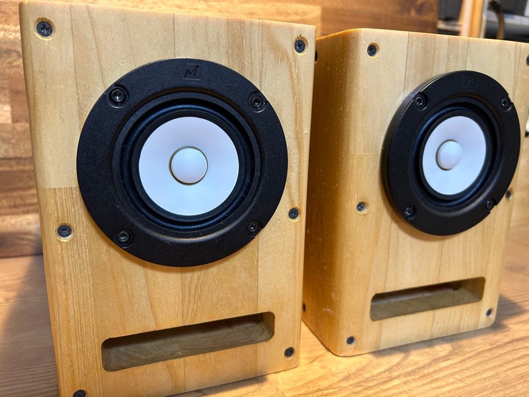 フルレンジユニット　MAOP5 Gen1 バックロードホーン　スピーカー