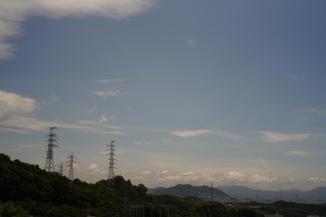 Nikon S2 / NIKKOR-H 5cm F2 黒