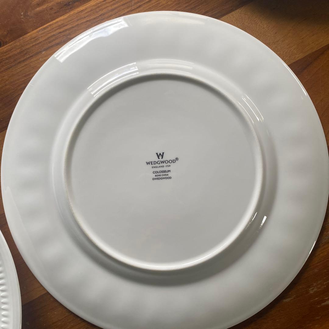  コロシアム27cm 5枚セット