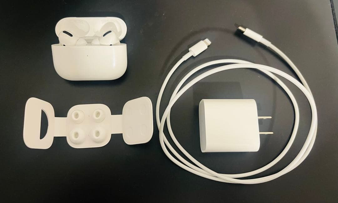 AirPods Pro 第一世代 本体 充電ケース付き