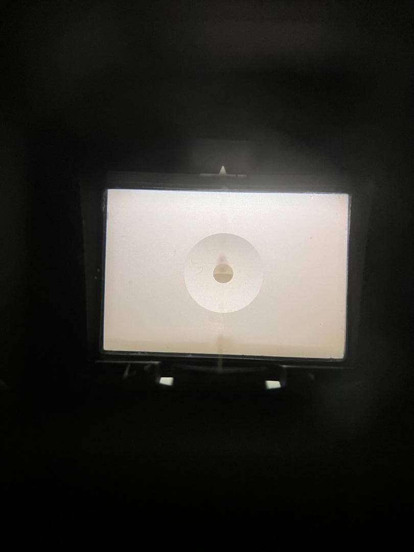 実用品 ニコン F フォトミック FTN シルバー　モルト新品交換済 B715