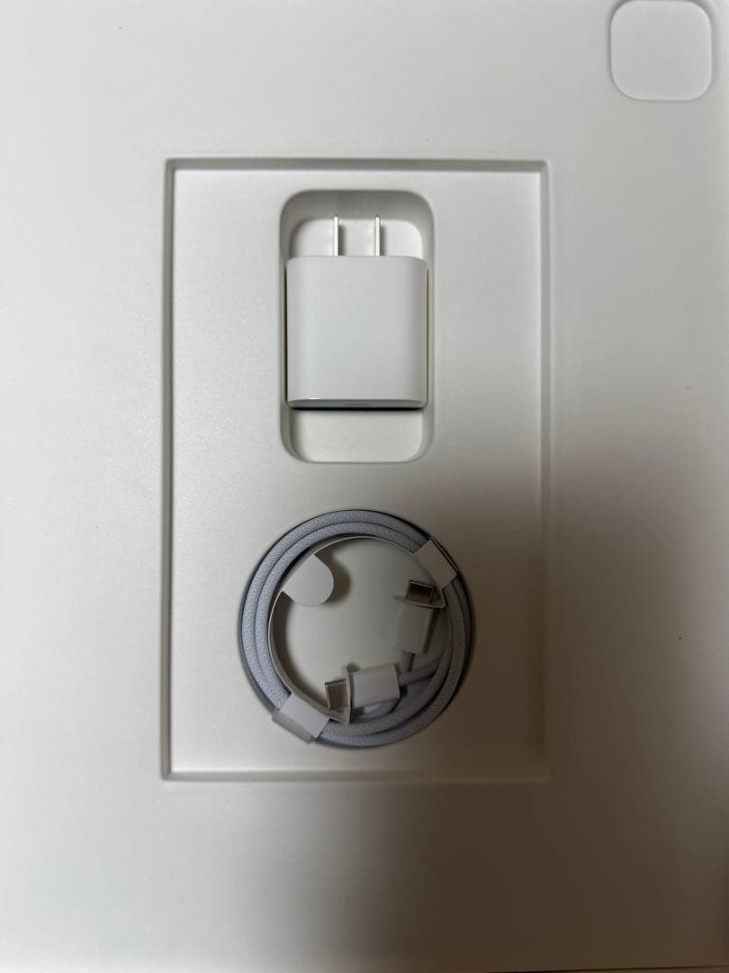 iPad Pro 12.9 inch 第6世代　512GB