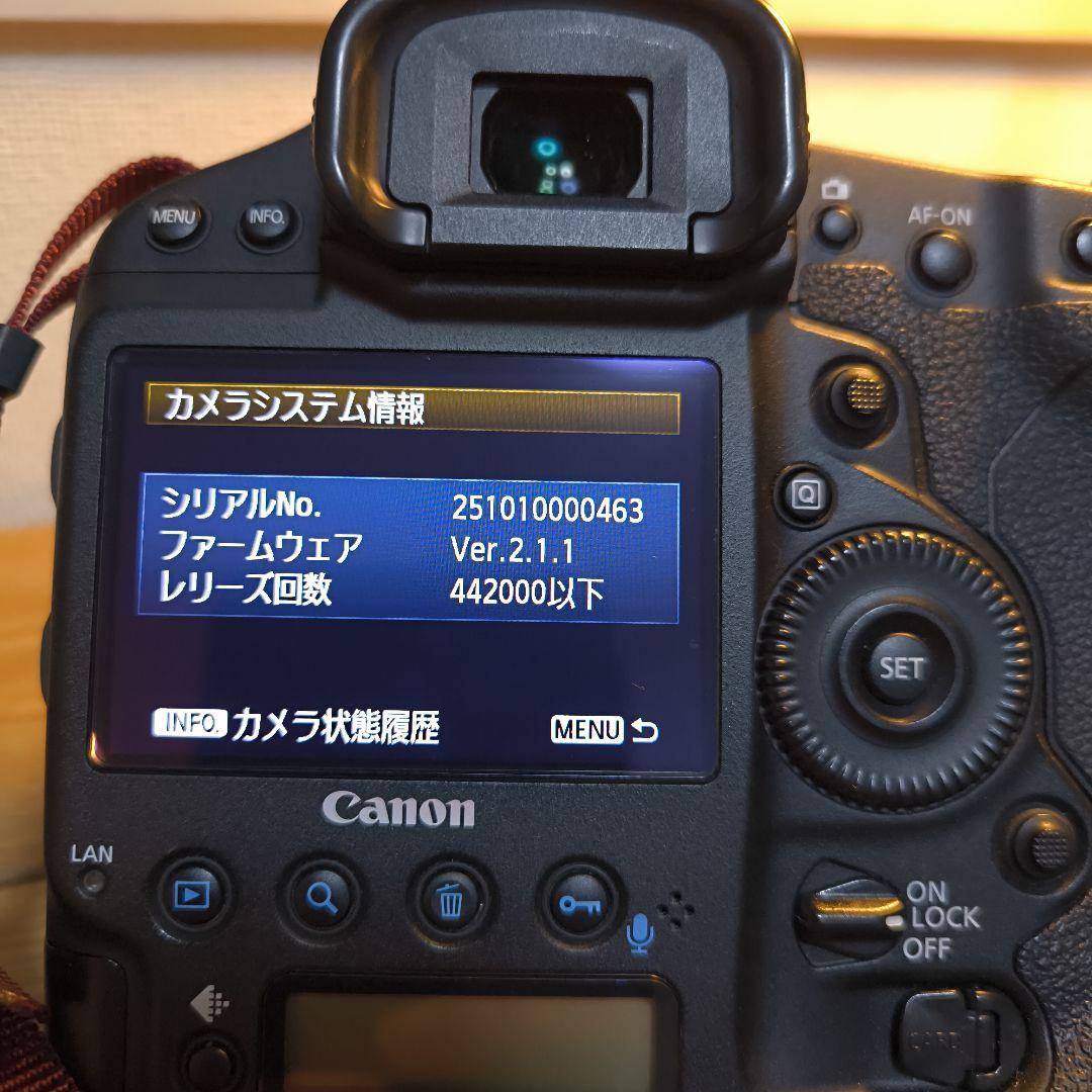 【美品】Canon EOS 1DX(初代)