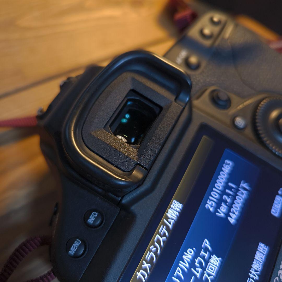 【美品】Canon EOS 1DX(初代)