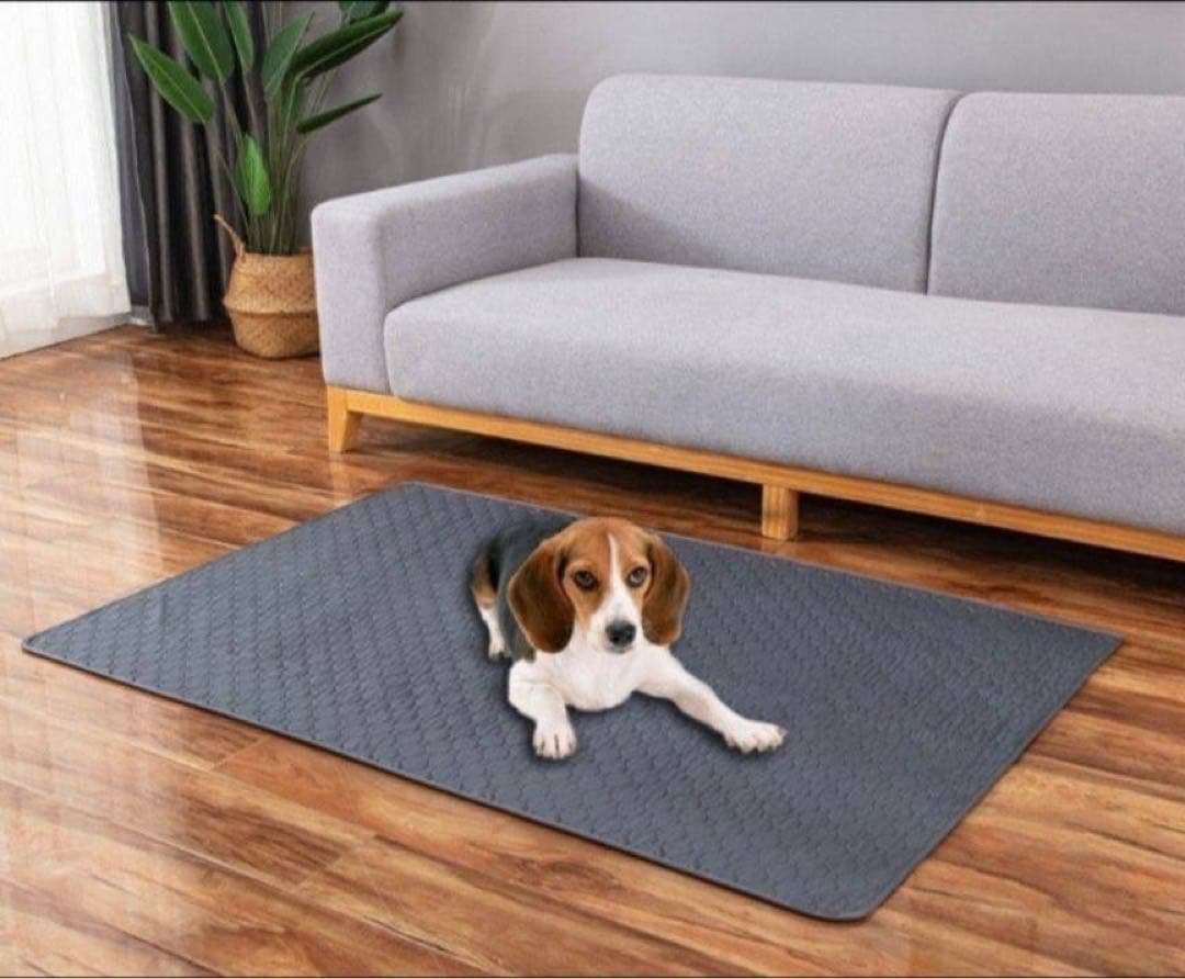 ペットシーツ シート トイレマット おしっこマット 犬猫　 洗える　2枚　グレー