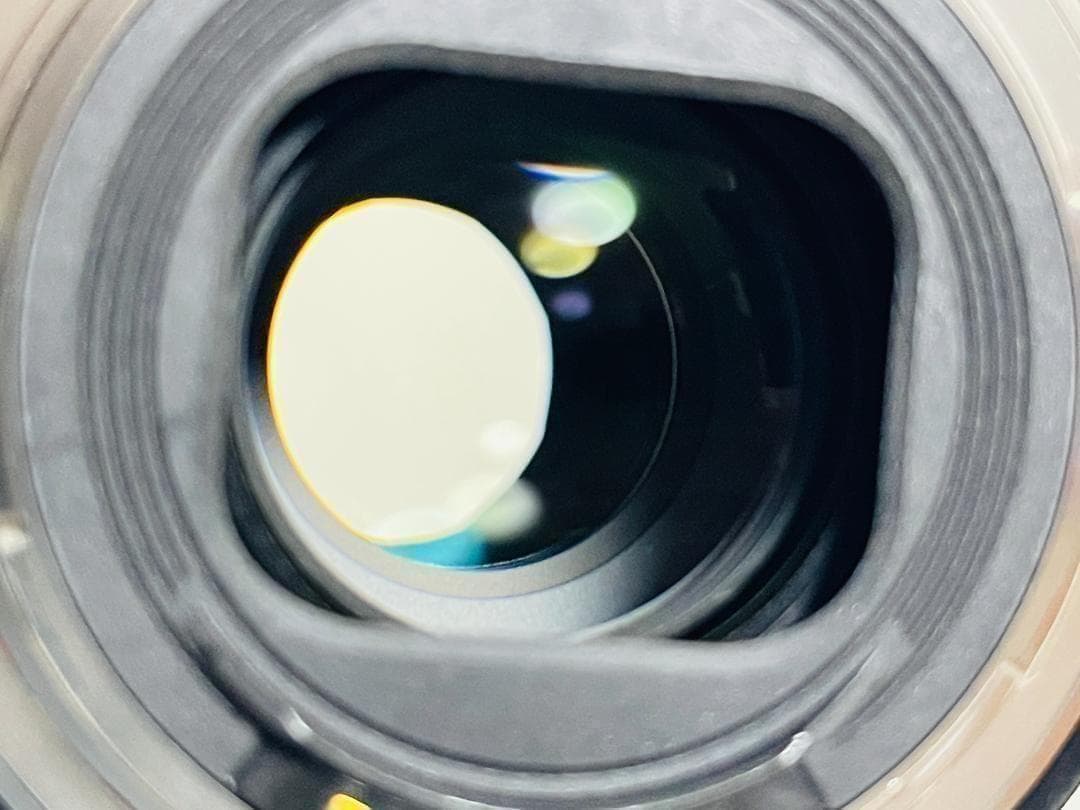 美品 Canon EF24-105mm F4L IS II レンズフィルター付き