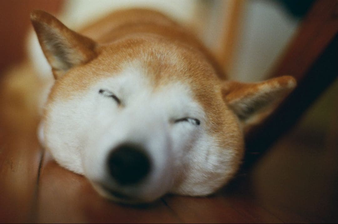 【最終金額】極美品コンタックス G2 & Biogon 28mm F2.8 T*