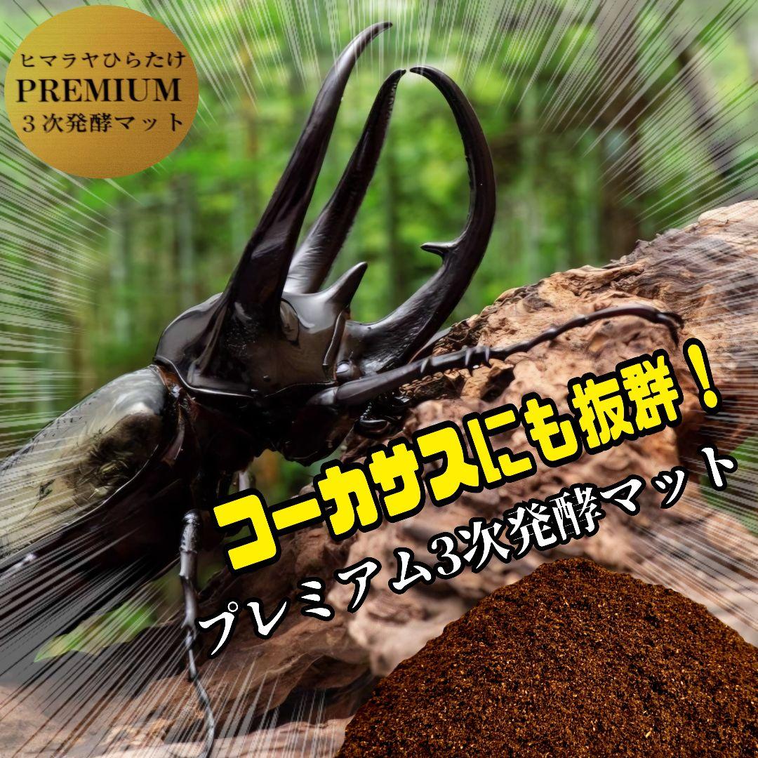 カブトムシ幼虫が巨大化！プレミアム3次発酵マット【200リットル】産卵にも抜群！
