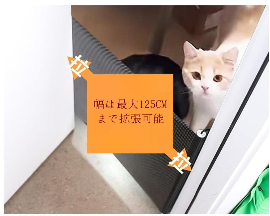 【利用時間少、おまけ付】ルンバ コンボ2 Essential+AutoEmpty