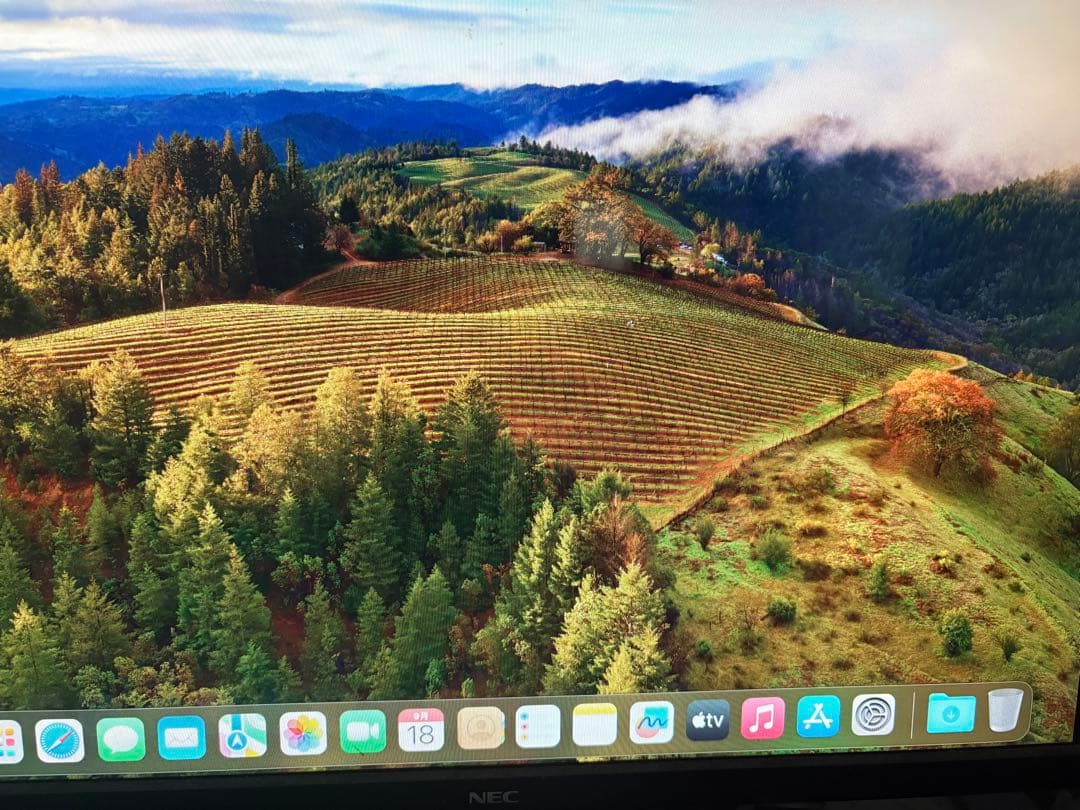 中古美品Mac mini (Late2011) OS:Sonoma