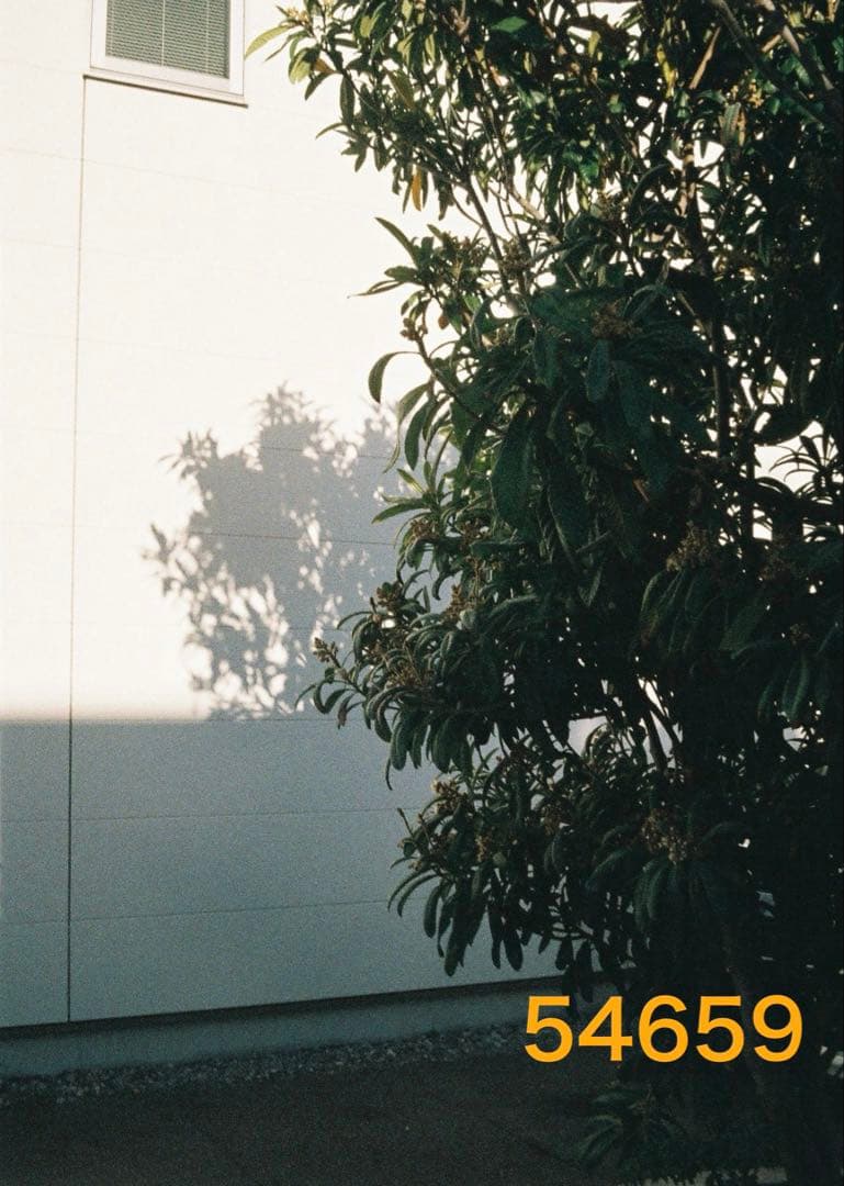 オートハーフ　初期型　AUTOHALF 動作良好