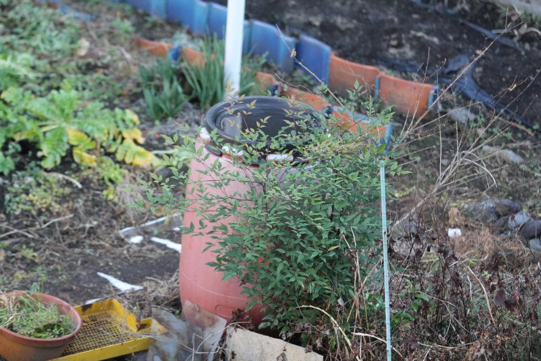 【箱付き】 Canon EF 70-200mm F2.8 L IS II USM