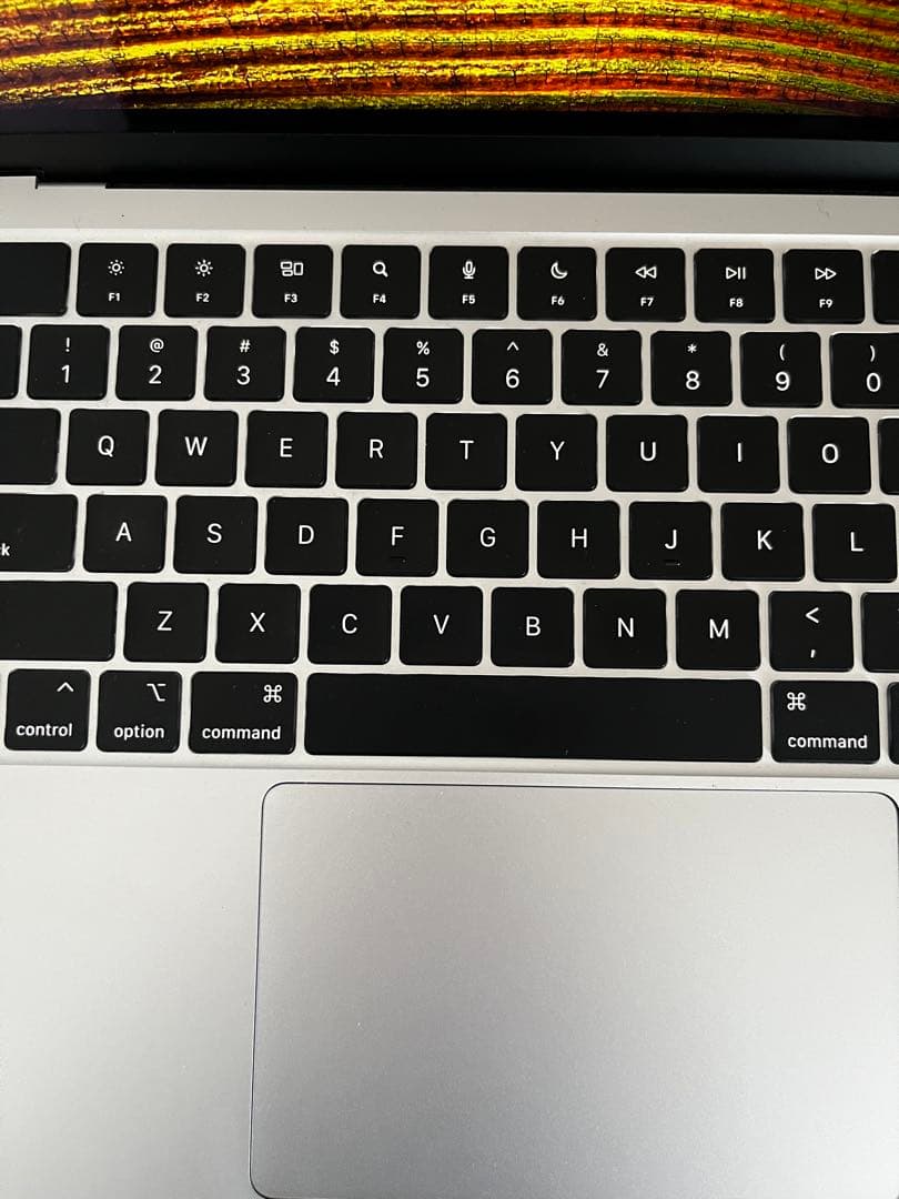 【ジャンク】Apple MacBook 13.6インチ 1TB