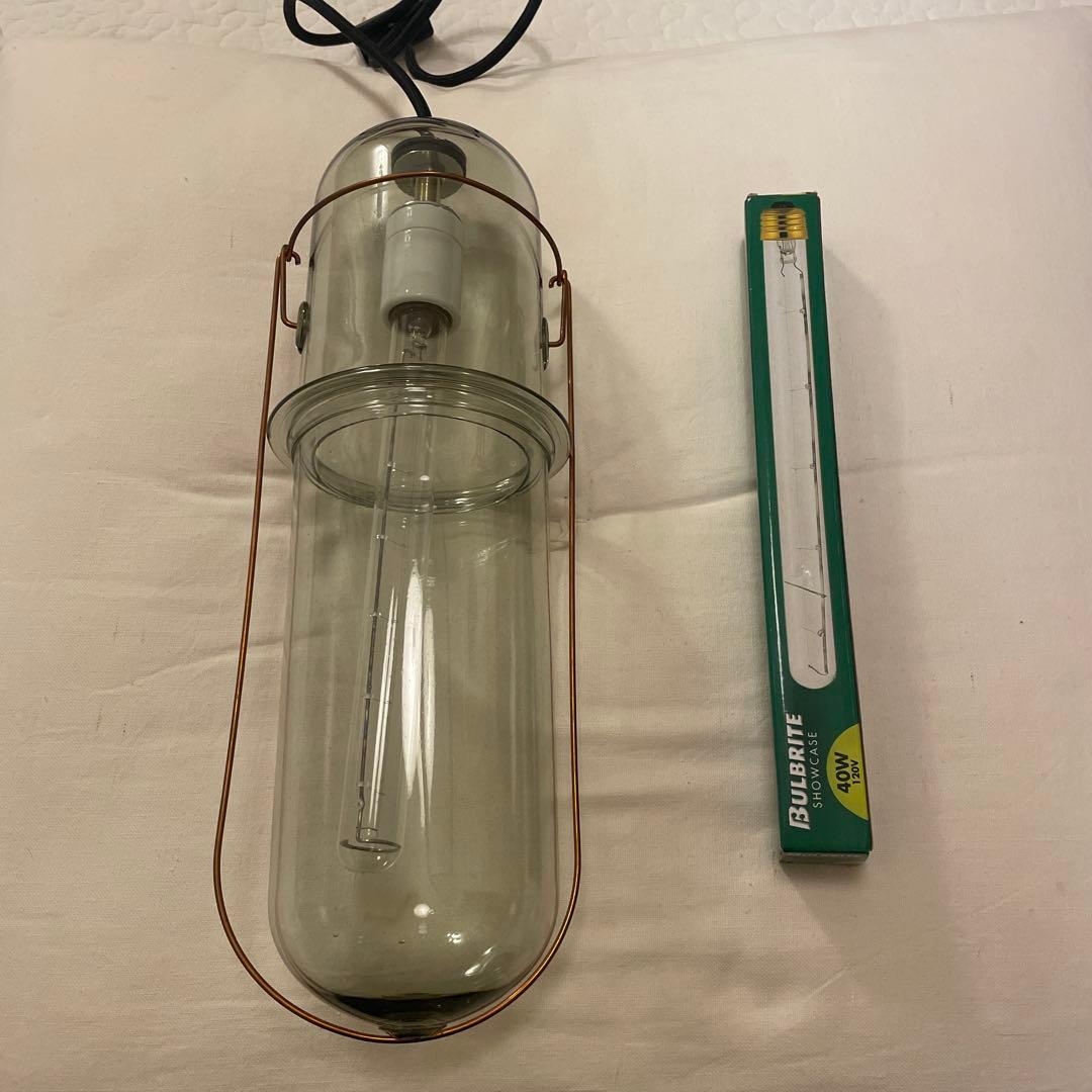 ピーターアイビー peter ivy capsule lighg L