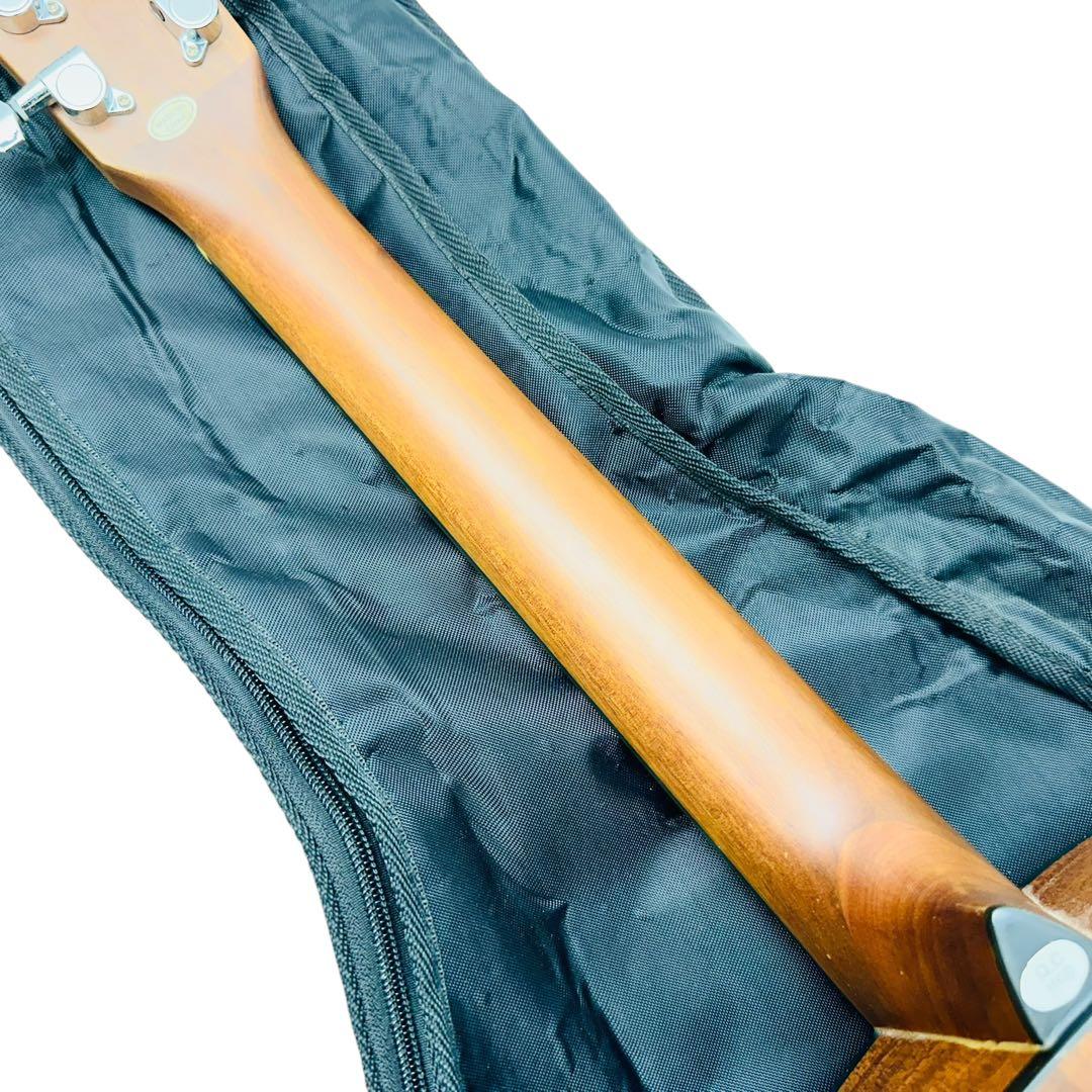 ヤイリ　アコースティックギター　付属多数！　YM-16