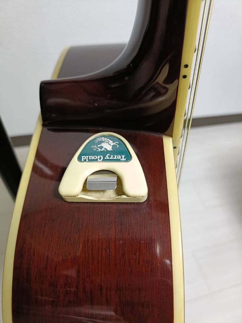 Takamine T-F1/BS アコースティックギター 弦交換済